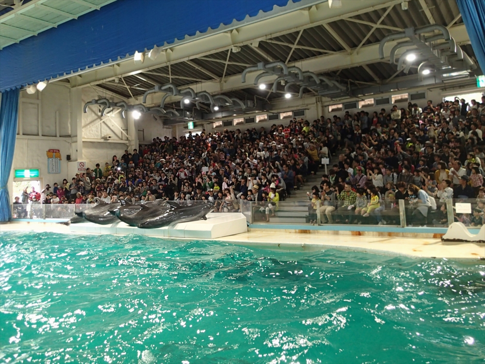 満員御礼 イルカショー おたる水族館