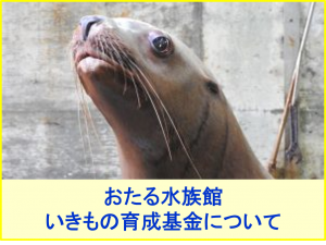 おたる水族館いきもの育成基金にご協力をお願いいたします。