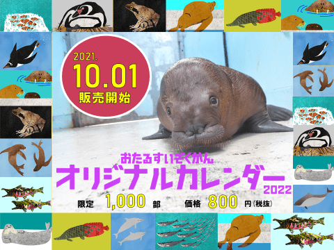 22年用 おたる水族館オリジナルカレンダーを販売します おたる水族館