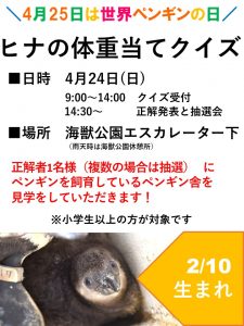 世界ペンギンの日にちなんだイベント ヒナの体重当てクイズ を行います 終了しました おたる水族館 世界ペンギンの日にちなんだイベント ヒナの体重当てクイズ を行います 終了しました おたる水族館