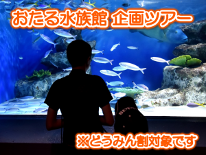 おたる水族館 イルカの水しぶき トドの豪快ダイブ 爆笑ペンギンショー 国定公園の大自然に囲まれた水族館