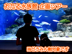 おたる水族館 8月催行企画ツアー　申込開始について （どうみん割対象ツアー）
