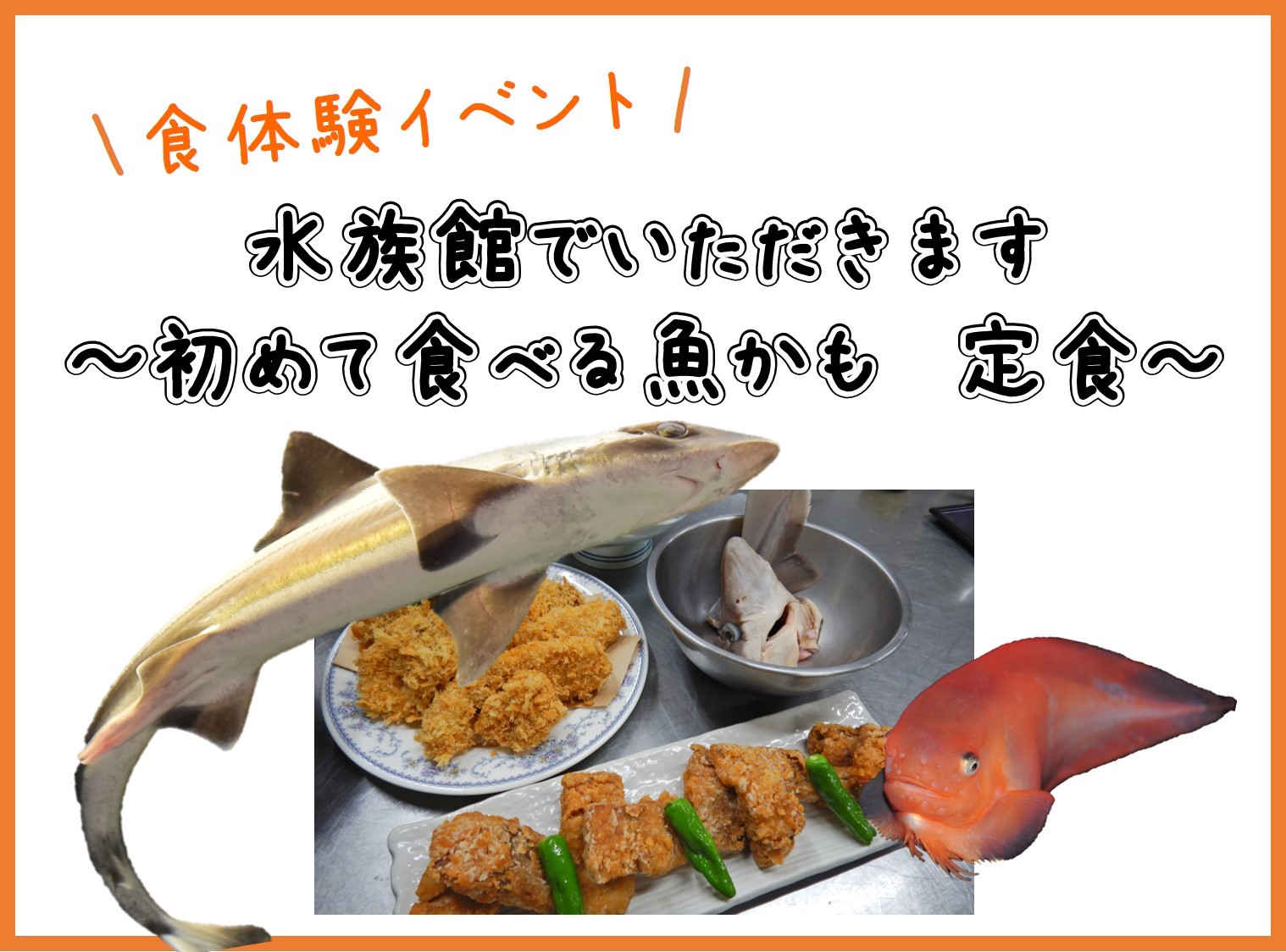 食体験イベント 水族館でいただきます 初めて食べる魚かも 定食 開催 終了しました おたる水族館