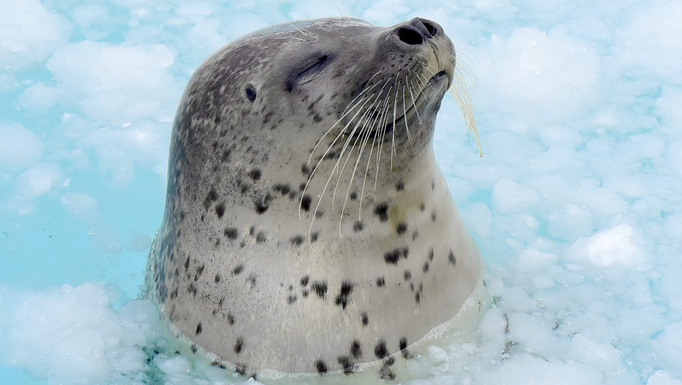 おたる水族館