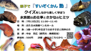【7/13】親子で「すいぞくかん塾」開催について