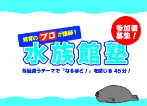 【6/28・7/26・8/30・9/27開催】水族館塾について