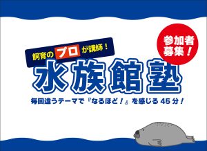 【6/28・7/26・8/30・9/27開催】水族館塾について